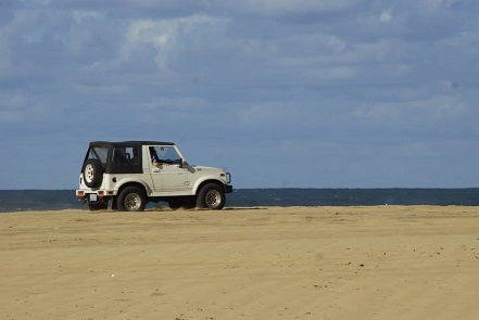 Drive The Beach